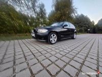 Obraz 3