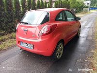 Obraz 3