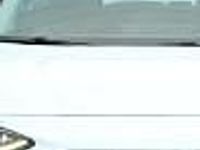 Używany Ford Focus Titanium 125 KM (91 kW) 2023 Biały Kombi