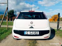 używany Fiat Punto Evo 1.2 Benzyna / Sprowadzony / Przygotowany do rejstracji