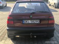 Obraz 3
