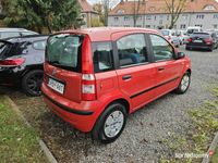 używany Fiat Panda Krajowy II (2003-2012)