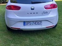 Obraz 2