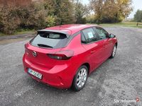 Używany Opel Corsa 2021 Bordowy Hatchback