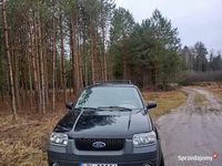 Używany Ford Maverick 2004 SUV