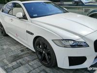 Używany Jaguar XF R-Sport 2016 Biały Sedan/Limuzyna