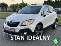 Obraz 1