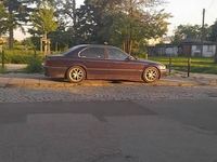 Obraz 3