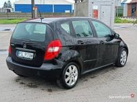 Obraz 3