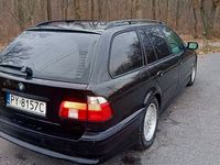 Obraz 3