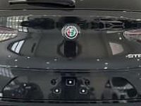 używany Alfa Romeo Stelvio 2.0 Turbo Intensa Q4 2.0 Turbo Intensa Q4 (280KM)