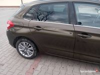 Obraz 1