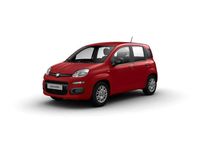 używany Fiat Grande Panda MY25 Pandina Icon 1.0 70 KM