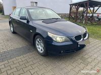 Obraz 3