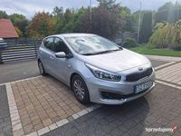 używany Kia Ceed 1.6 GDI M – Bezwypadkowy, salon Polska, zadbany