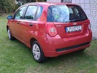 Obraz 3