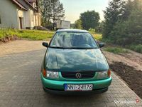 Obraz 3