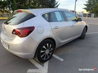 Obraz 3