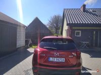 Obraz 3