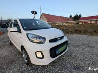 Używany Kia Picanto 67 KM (49 kW) 2016 Biały Hatchback