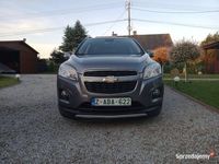 Obraz 3