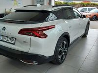 Obraz 3