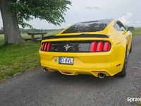 używany Ford Mustang 3.7 B+LPG 2015r