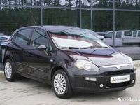 Obraz 3