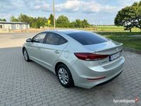 Obraz 3