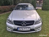 Obraz 3