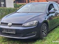 Używany VW Golf VII Allstar 150 KM (110 kW) 2016 Granatowy Kombi
