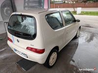 używany Fiat Seicento 600 rok 2005 1,1