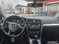 używany VW Golf VII 1.6TDI. CUP