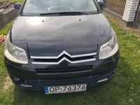 Obraz 3