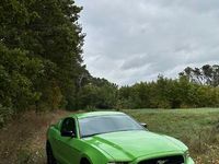 używany Ford Mustang 3.7 v6 2013. 90 tyś.przebiegu