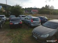Obraz 2