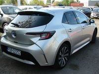 Obraz 3