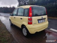 używany Fiat Panda 