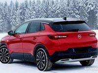 Używany Opel Grandland X Ultimate 2020 Wiśniowy SUV