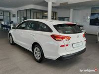 Obraz 3
