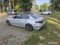 Obraz 2