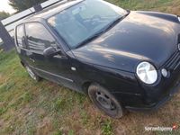 Obraz 3
