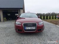 używany Audi A3 1.6 benzyna
