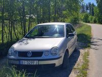 Obraz 3