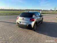 Obraz 2