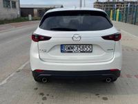 Obraz 3