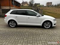 Obraz 3