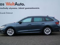 używany Skoda Octavia Combi AMBITION 1.5 TSI (150 KM)