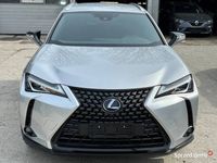 używany Lexus UX 250h