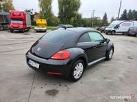 Obraz 3